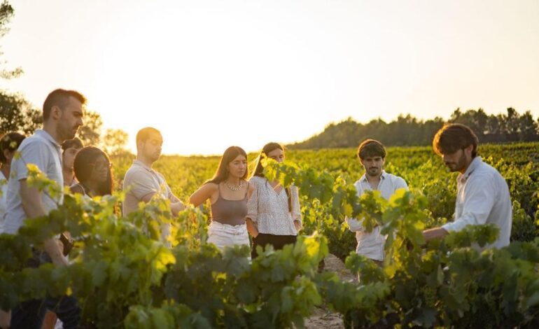 Las rutas del vino atraen hasta Catalunya a unos 700.000 turistas de nivel medio-alto anuales