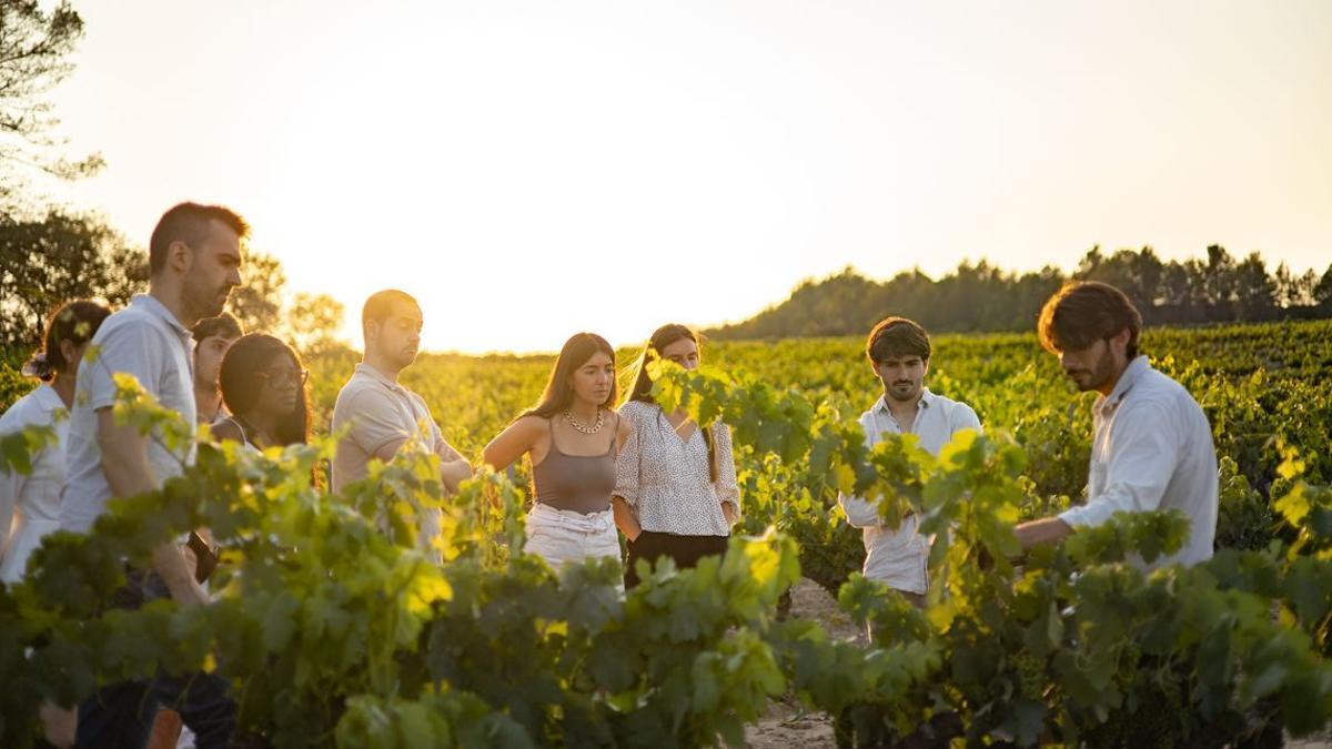 Las rutas del vino atraen hasta Catalunya a unos 700.000 turistas de nivel medio-alto anuales