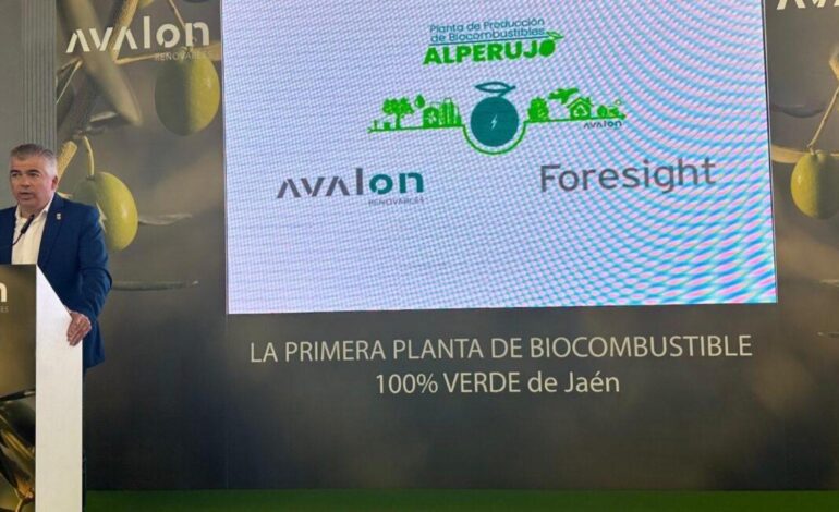 Avalon Renovables planea una inversión de 8.000 millones en hidrógeno verde y creará 10.000 empleos en Andalucía