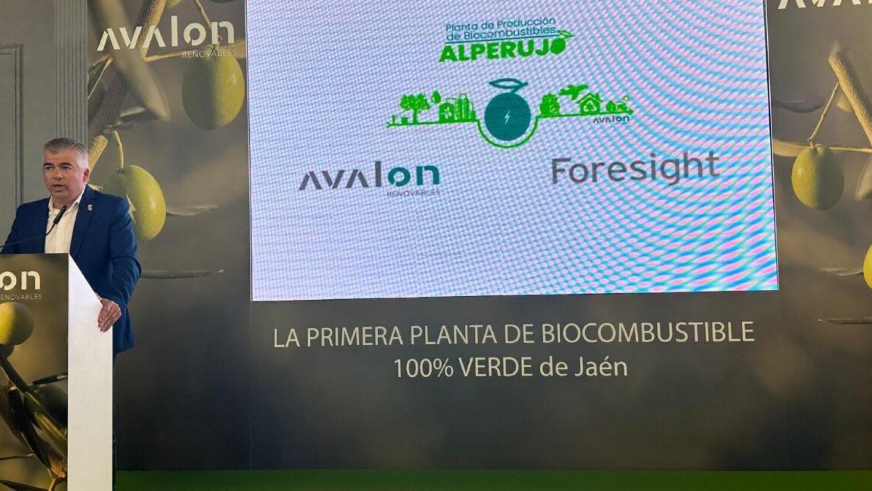 Avalon Renovables planea una inversión de 8.000 millones en hidrógeno verde y creará 10.000 empleos en Andalucía