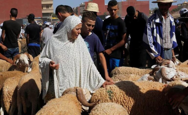 Mohamed VI suspende la fiesta islámica del sacrificio del cordero para tapar las desigualdades en Marruecos