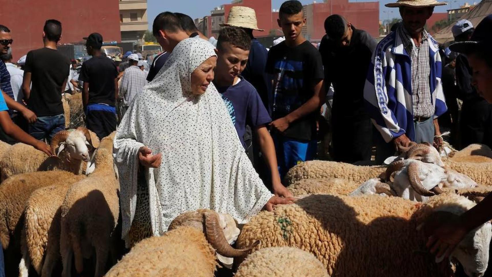 Mohamed VI suspende la fiesta islámica del sacrificio del cordero para tapar las desigualdades en Marruecos