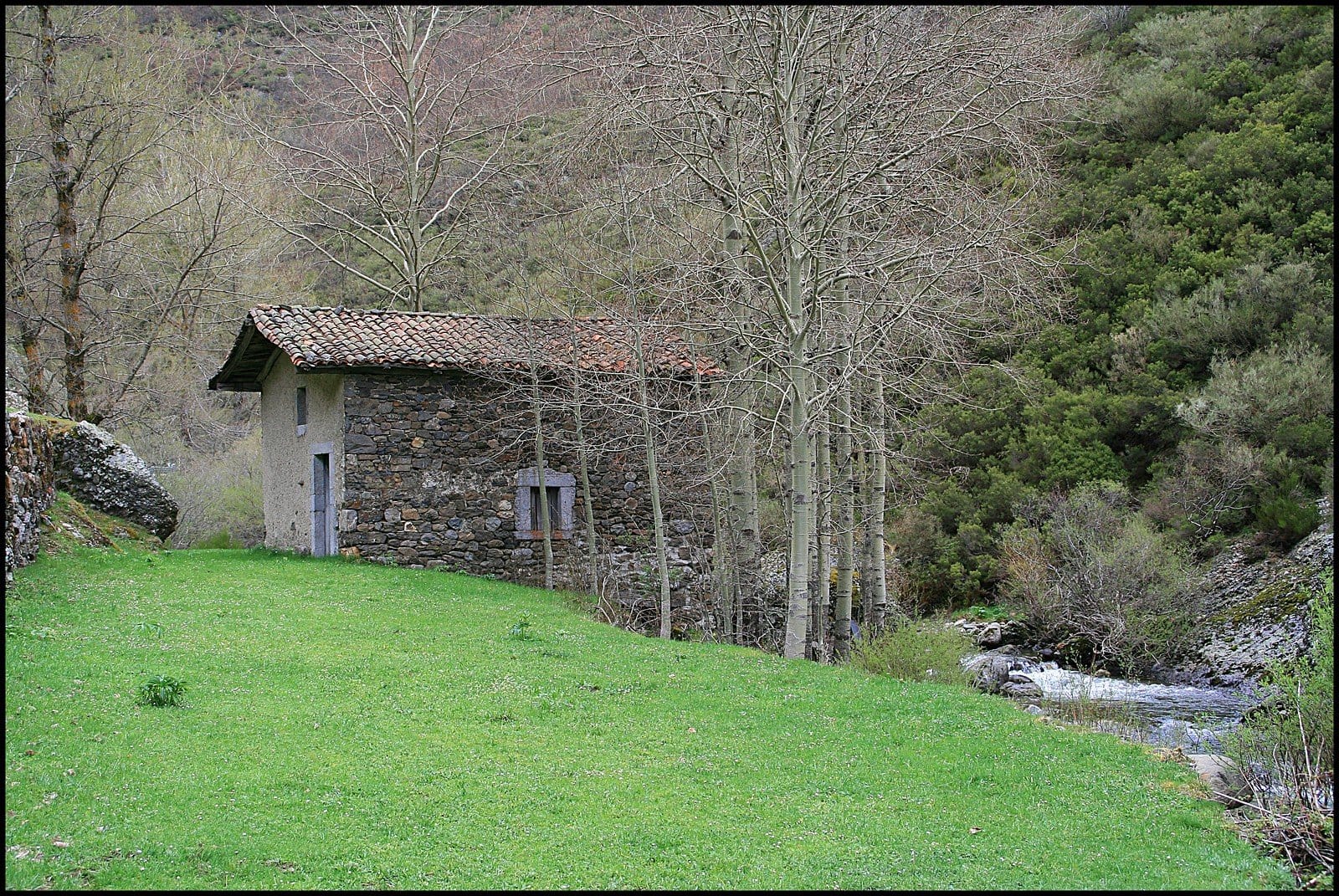 Reina Portilla Mill