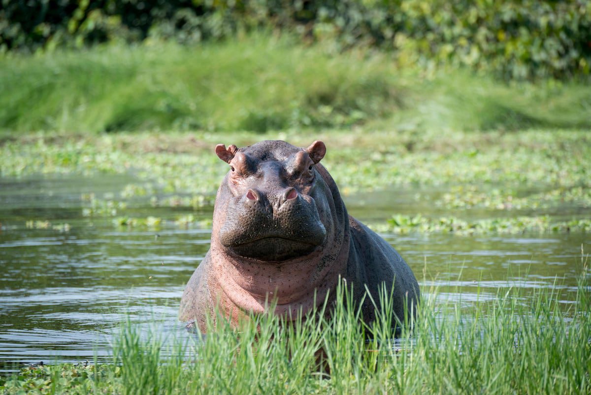 Parque nacional de Orango: manglares, playas vírgenes y poblados en el lugar más fascinante de Guinea-Bisáu | Viajes | El Viajero