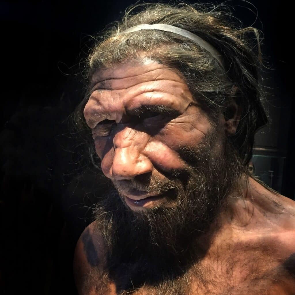 Recreación de la vida de un hombre neandertal en el Museo de Historia Natural de Londres. Foto: Allan Henderson bajo CC por licencia de 2.0