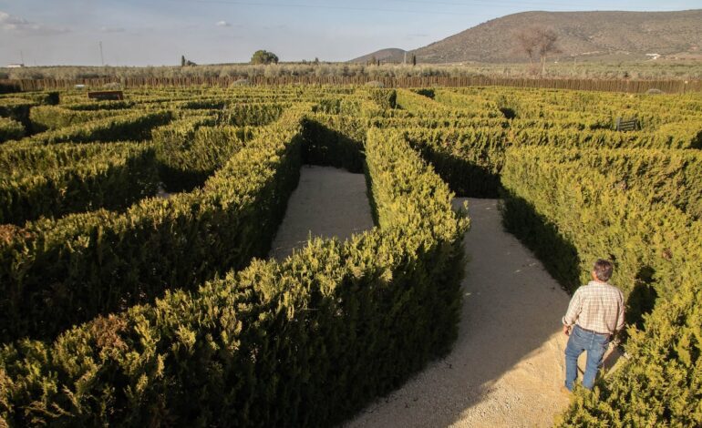 Así es el nuevo laberinto vegetal de Málaga: 7.400 metros cuadrados e inspirado en la Alhambra | Escapadas por España | El Viajero