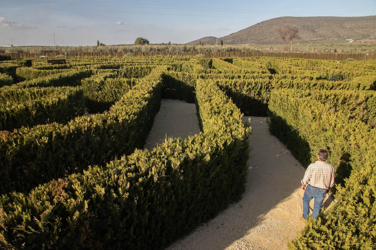 Así es el nuevo laberinto vegetal de Málaga: 7.400 metros cuadrados e inspirado en la Alhambra | Escapadas por España | El Viajero