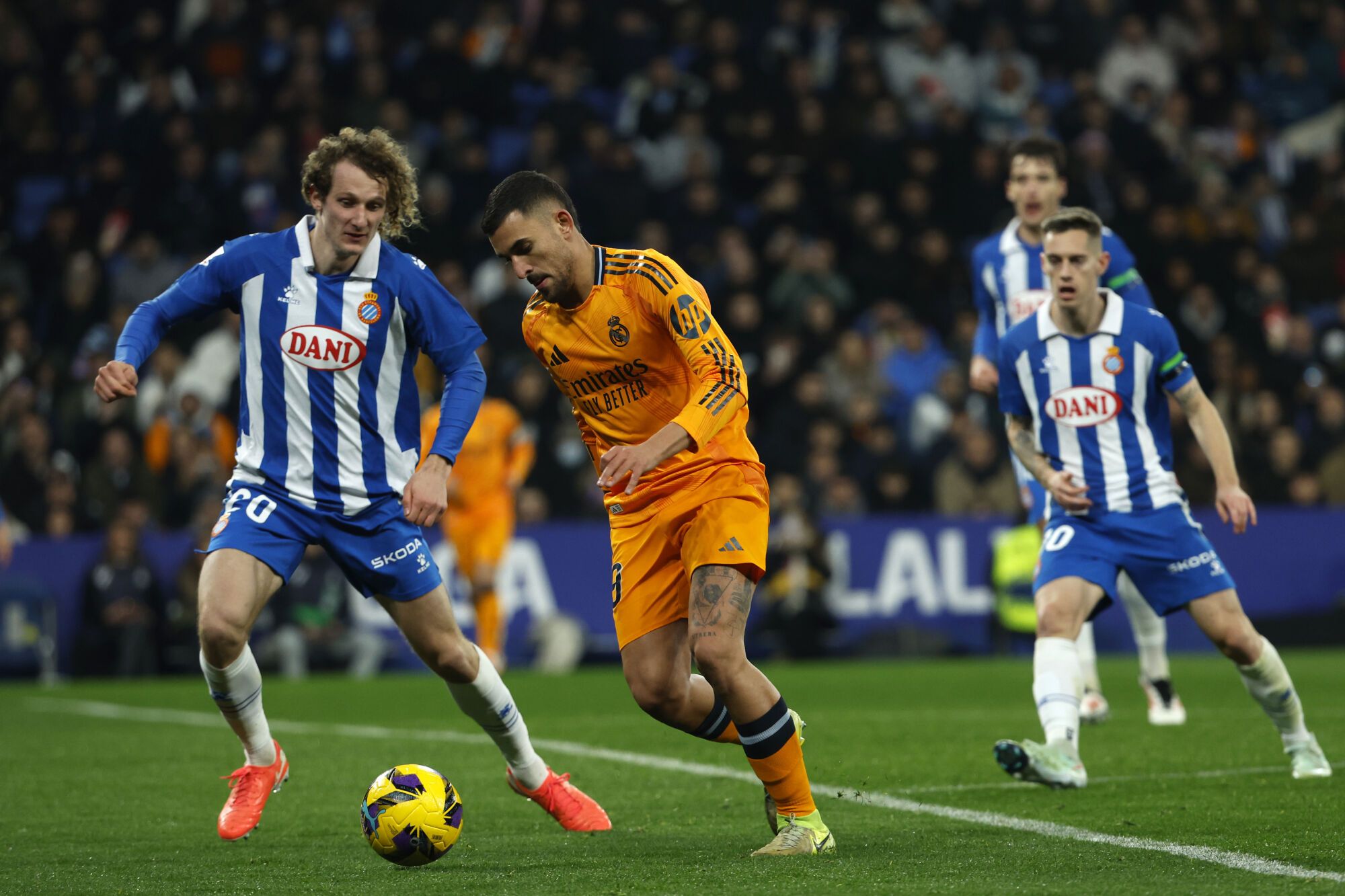 Dani Ceballos del Real Madrid, segunda a la izquierda, intenta superar a Alex Kral de Espanyol durante un partido de fútbol español entre Espanyol y Real Madrid en el estadio olímpico de la Compañía de Lluis en Barcelona, ​​España, el sábado 1 de febrero, 2025. (AP Poto/ AP/ Joan Monfort)