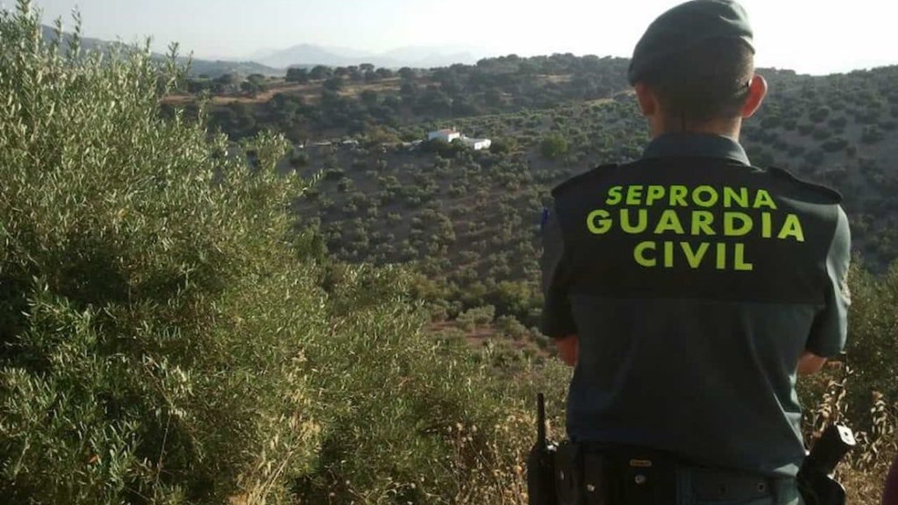 La Unión de Oficiales de la Guardia Civil recurre la cesión de competencias policiales a Cataluña