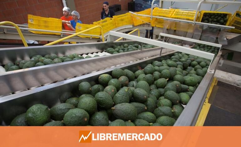 Así subirán los aguacates, tomates, tequila o jarabe de arce en EEUU por los aranceles de Trump