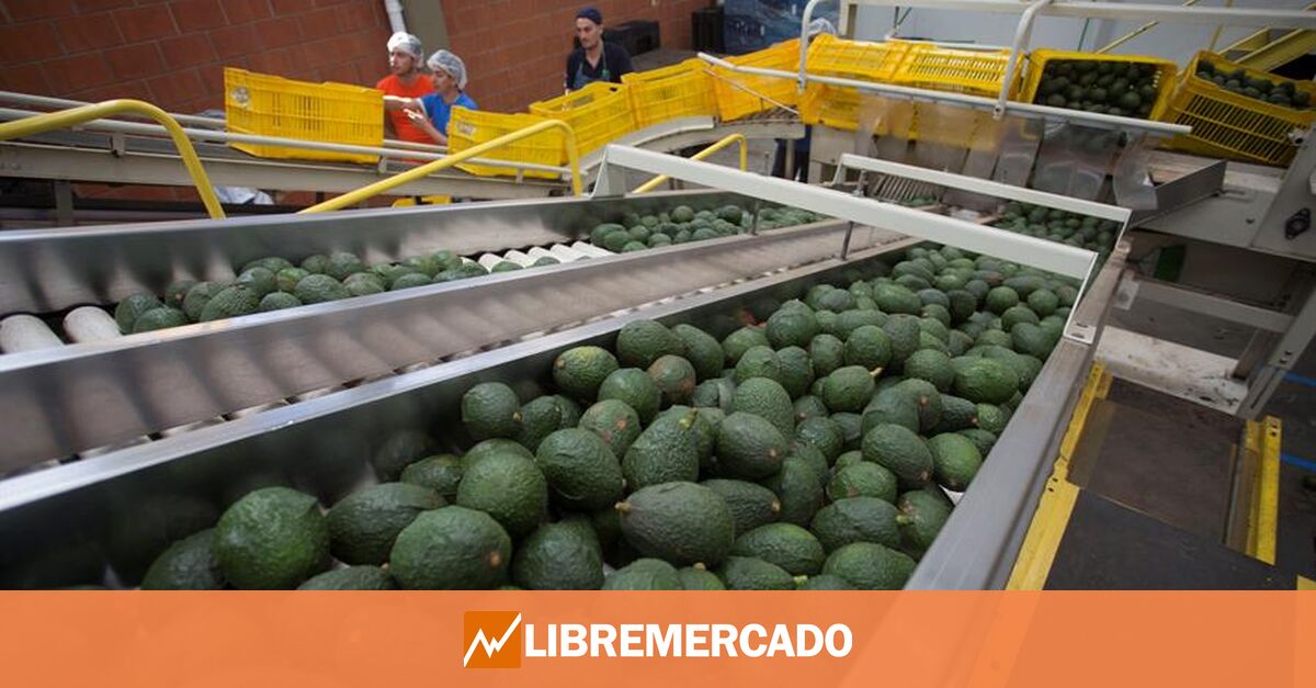 Así subirán los aguacates, tomates, tequila o jarabe de arce en EEUU por los aranceles de Trump