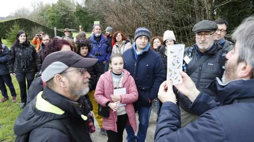 VÍDEO: El Botánico de Gijón, una "joya" ornitológica