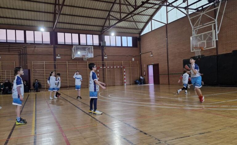 Los benjamines del baloncesto cangués logran la única victoria del fin de semana entre los equipos del club