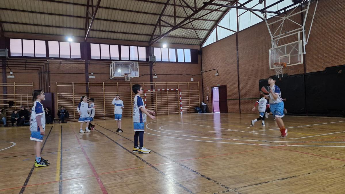 Los benjamines del baloncesto cangués logran la única victoria del fin de semana entre los equipos del club