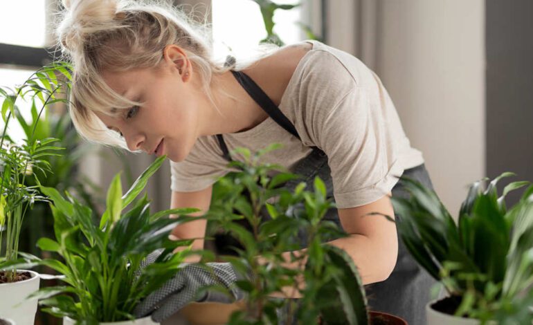 el abono casero fácil y eficaz que es oro puro para tus plantas y lo revive todo