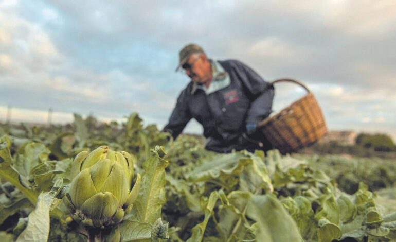 El plan para desburocratizar el sector agrícola permitirá un ahorro de 430 millones de euros