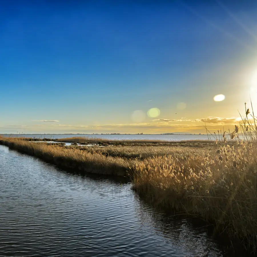 Ebro Delta 