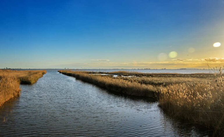 tranquilidad, conexión con la naturaleza y pura belleza