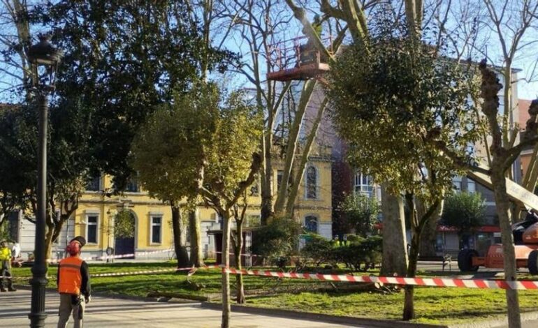 La poda de los árboles obliga a cerrar el parque Dolores F. Duro