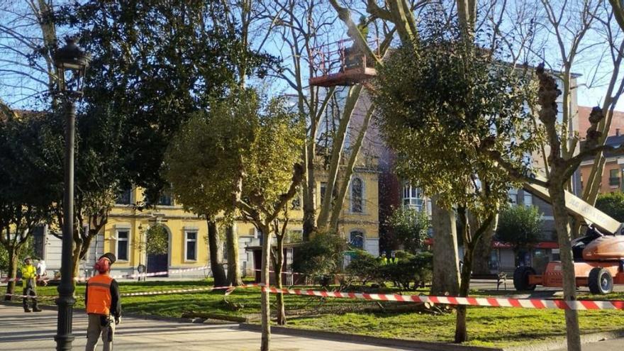 La poda de los árboles obliga a cerrar el parque Dolores F. Duro