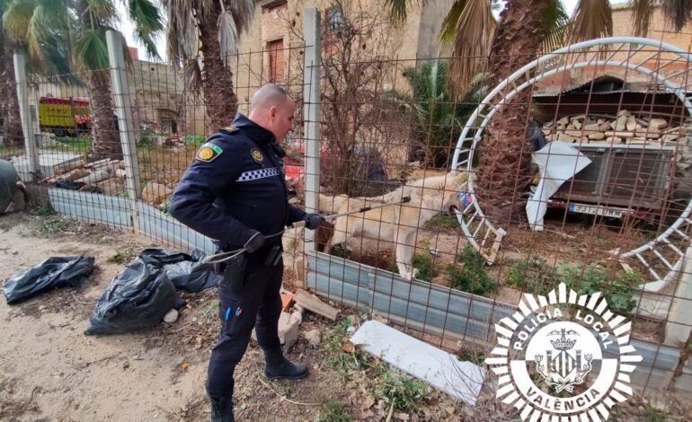 La Policía captura a un perro-lobo que atacó a su dueño y le provocó heridas graves en ambas piernas en València