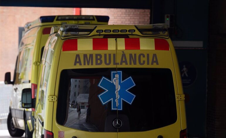 Muere un trabajador al caerle encima un árbol que estaba cortando en Sant Antoni (Barcelona)