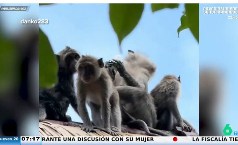 Mira ese, echándose el desodorante en la boca