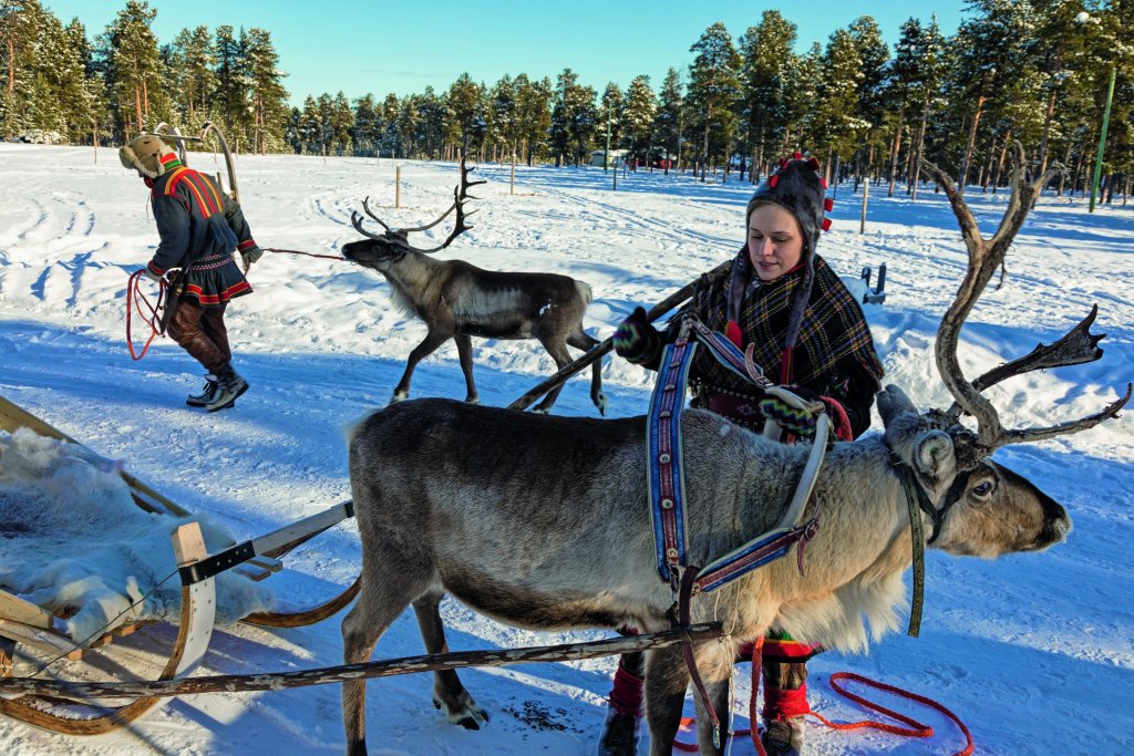 Sami Women - Imagen: Luis Davilla