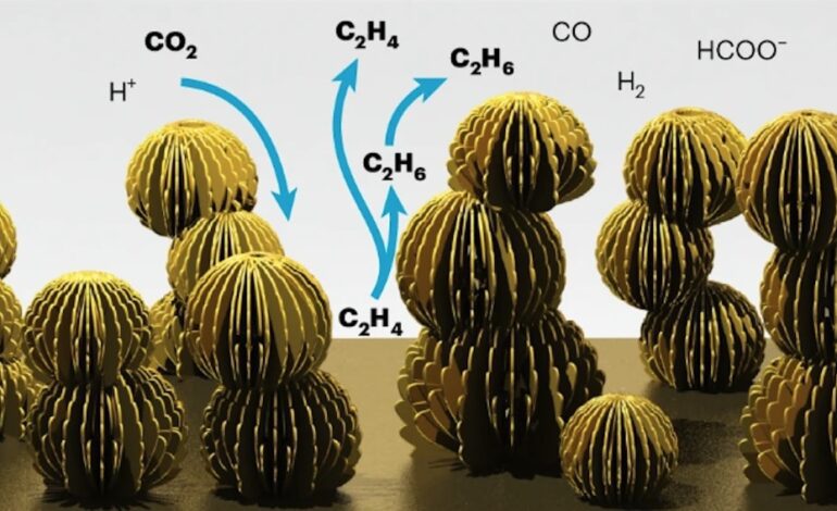 Nanoflores de cobre que crecen en hojas artificiales para producir biocombustible