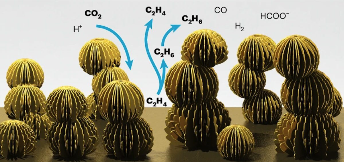 Nanoflores de cobre que crecen en hojas artificiales para producir biocombustible