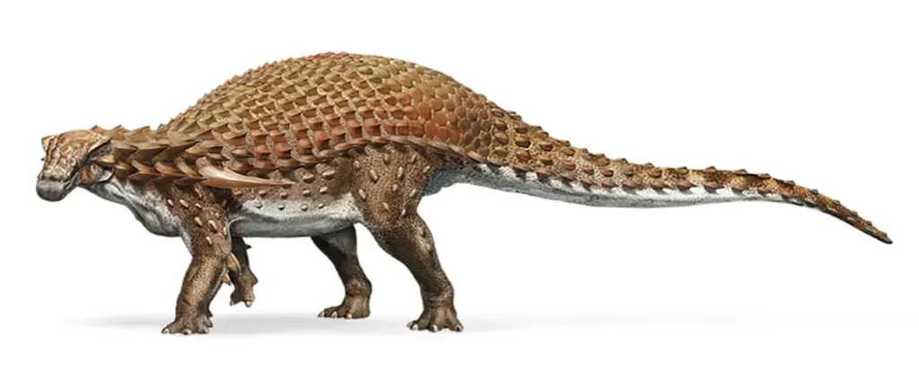 Nodosaurio, Reconstrucción, Royal Tyrrell Museum, Drumheller, Canadá