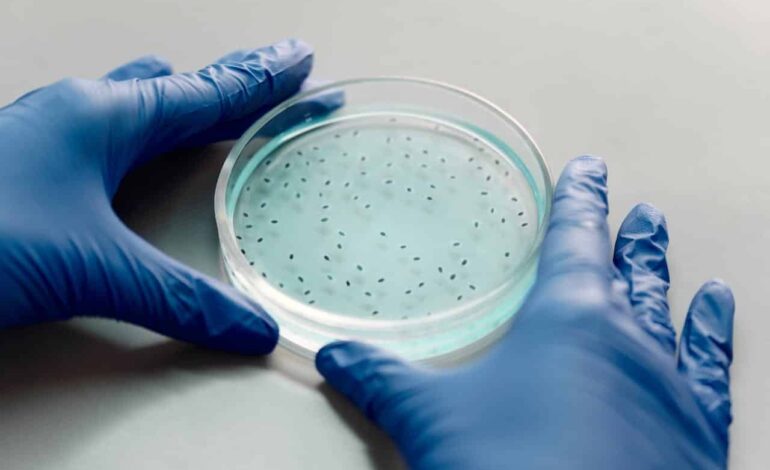 La IA resuelve en dos días un problema de superbacterias que ocupaba desde años a los científicos