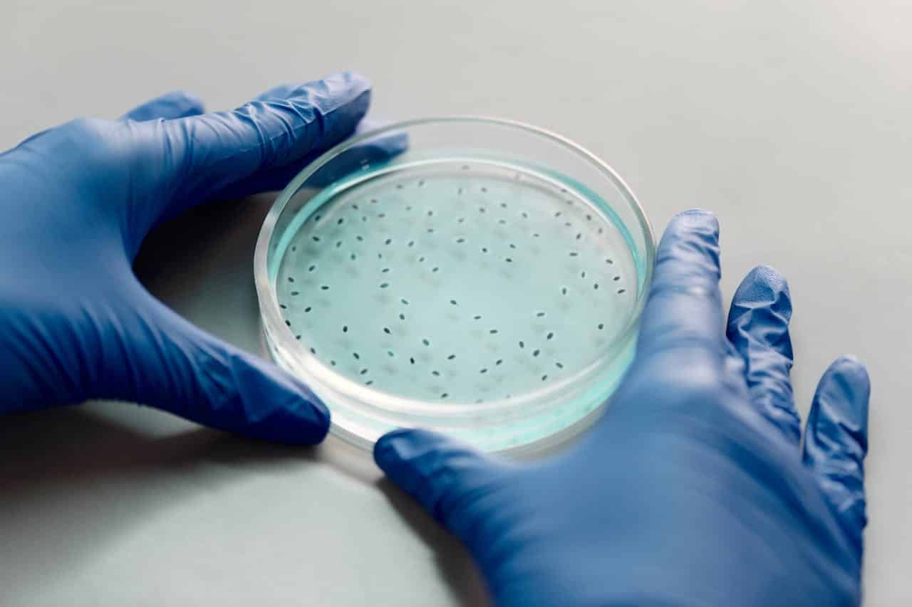 La IA resuelve en dos días un problema de superbacterias que ocupaba desde años a los científicos