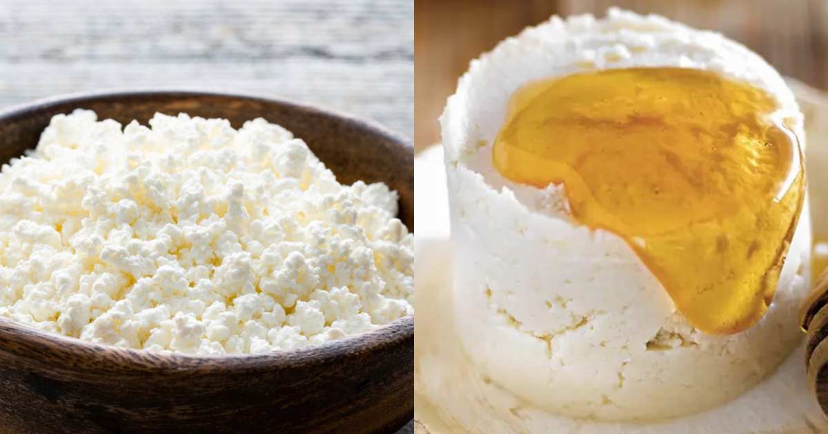 qué queso lleva más proteínas y cuál es mejor para adelgazar