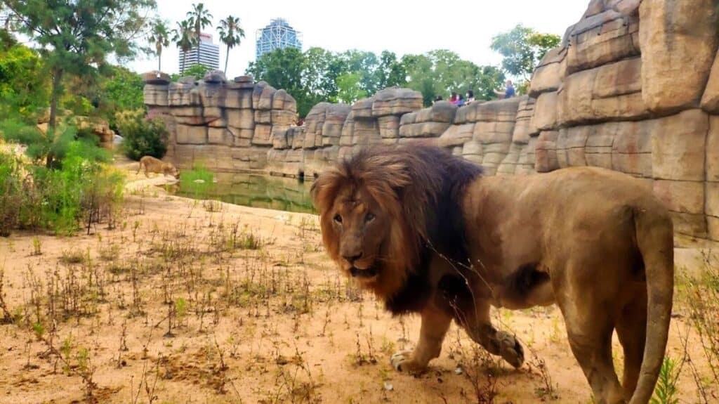 Zoológico de Barcelona