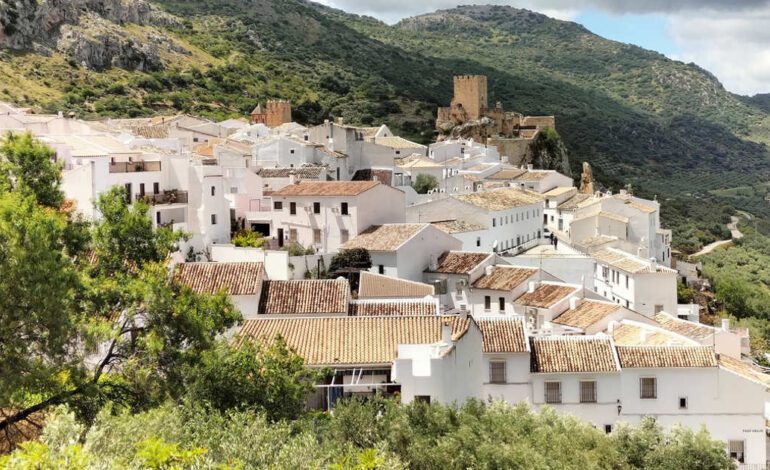 el paseo en bicicleta entre un mar de olivos a su paso por uno de los pueblos blancos más bonitos de España