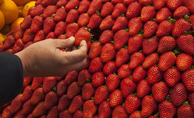 CONSEJOS DE ALIMENTACIÓN I El truco para que las fresas (u otras frutas) no se pongan pochas y aguanten más tiempo