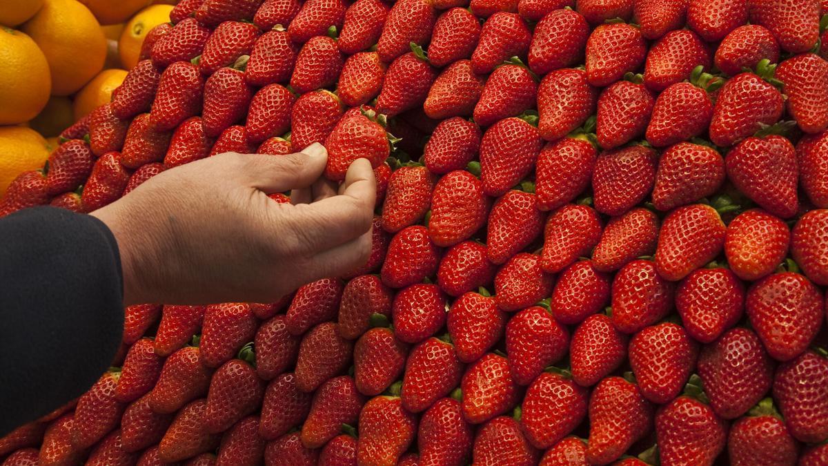 CONSEJOS DE ALIMENTACIÓN I El truco para que las fresas (u otras frutas) no se pongan pochas y aguanten más tiempo