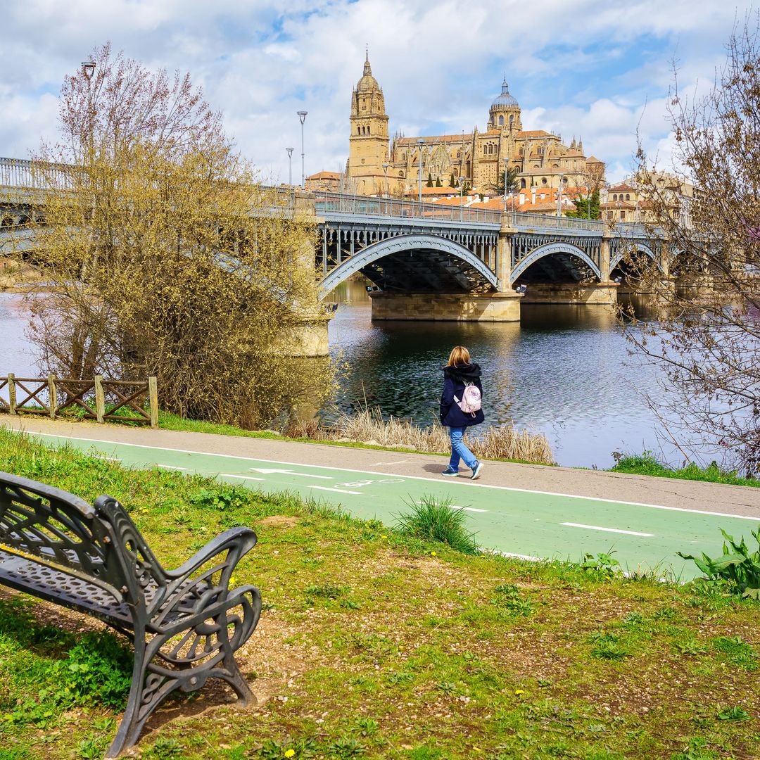 Ribera del Tormes y Catedral de Salamanca en el fondo