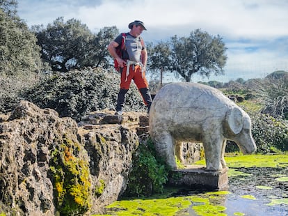 La fuente del elefante, en Santa María de Tasssierra.