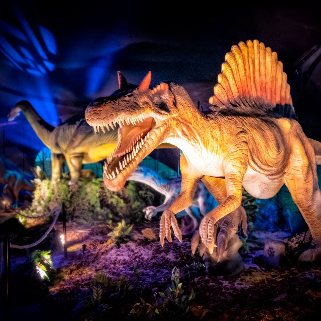 Exposición de dinosaurios en Madrid, Saurios