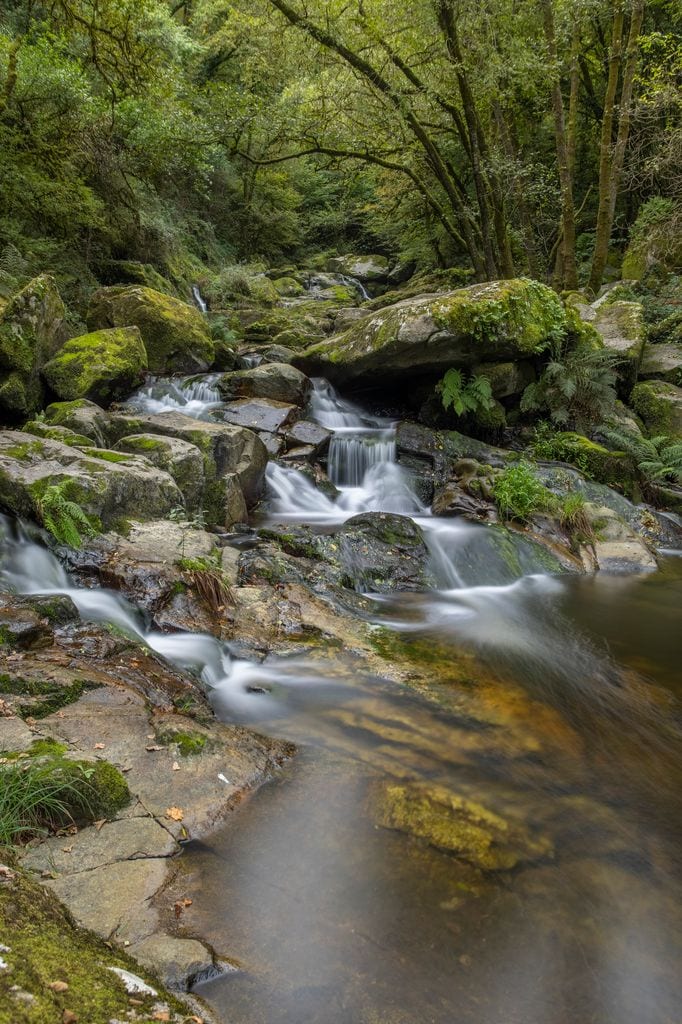 rio gafos pontevedra