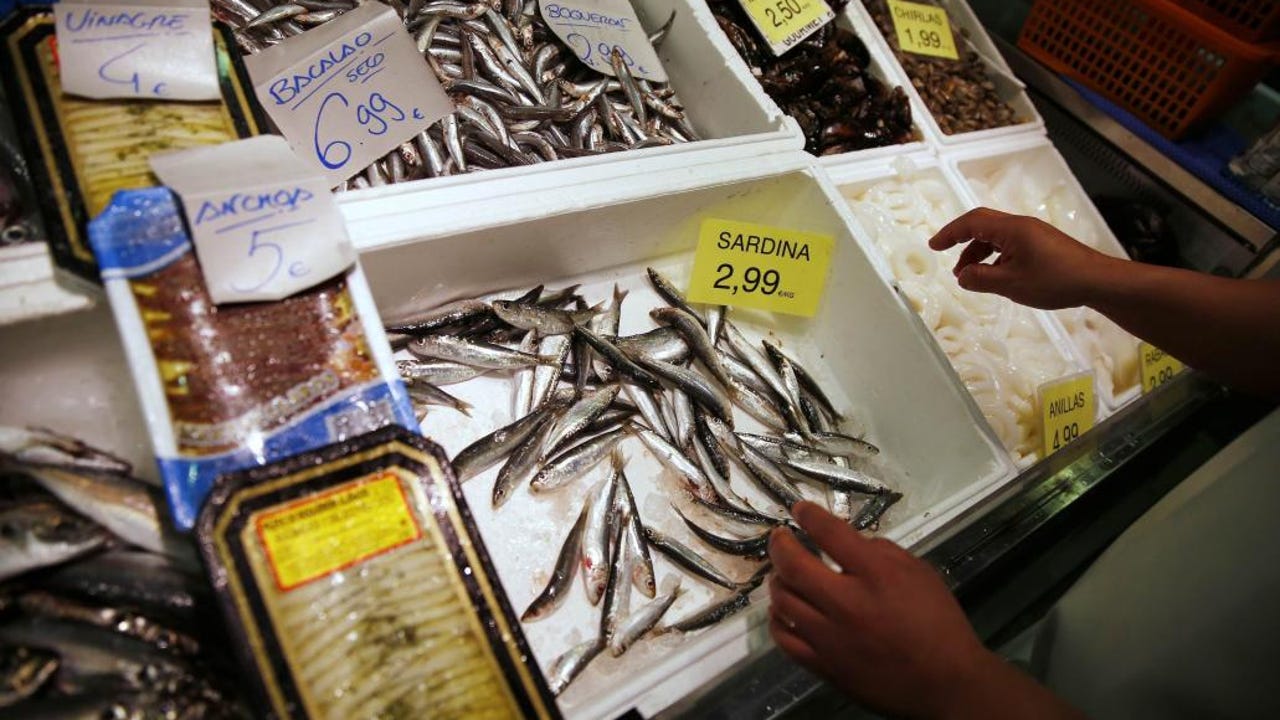 Escándalo en Marruecos por el alza de los precios del pescado debido a los intermediarios