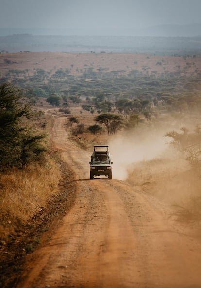 Un 4x4 viaja por el parque en un safari.