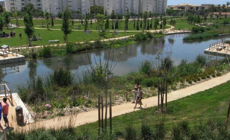 PARQUE ANTIRRIADAS | La Marjal de Alicante: la ‘esponja’ natural que puede absorber tanta agua como 18 piscinas olímpicas