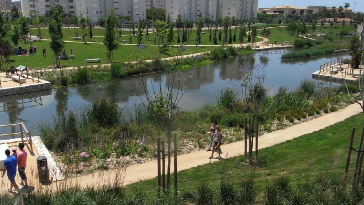 PARQUE ANTIRRIADAS | La Marjal de Alicante: la ‘esponja’ natural que puede absorber tanta agua como 18 piscinas olímpicas