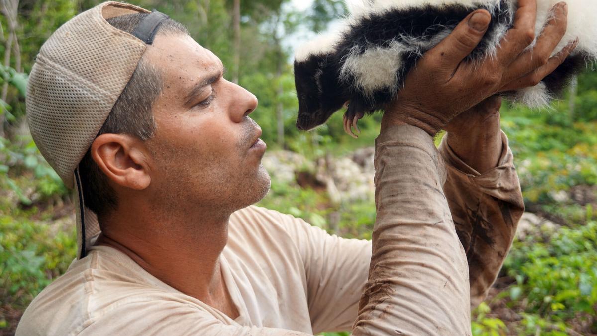 El naturalista español Frank Cuesta es puesto en libertad bajo fianza en Tailandia