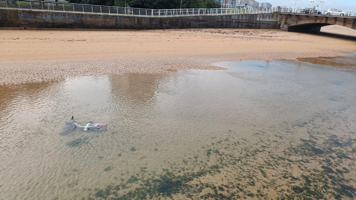 El insólito lugar donde «dejaron» una bicicleta de alquiler en Gijón