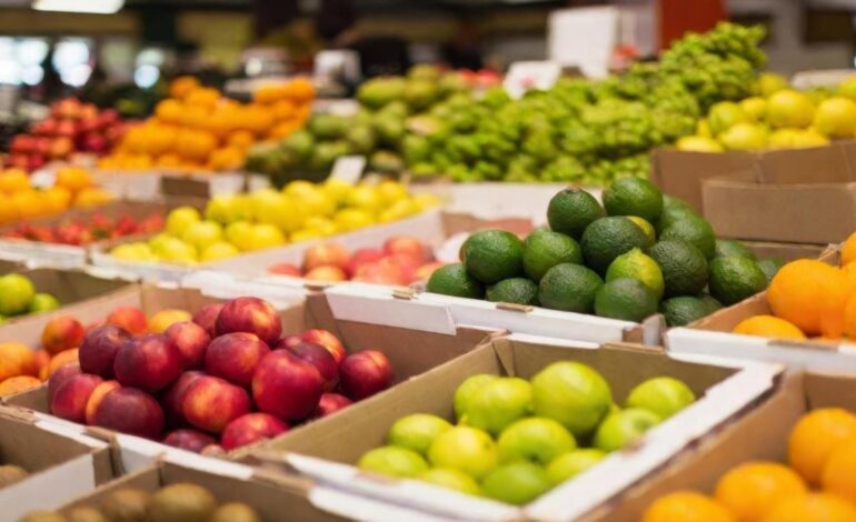 Consumo obligará a que al menos el 45% de las frutas y hortalizas que se sirvan en los colegios sean de temporada