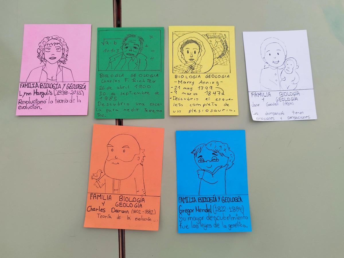 Juego de familias hecho por los alumnos de secundaria del colegio San Miguel